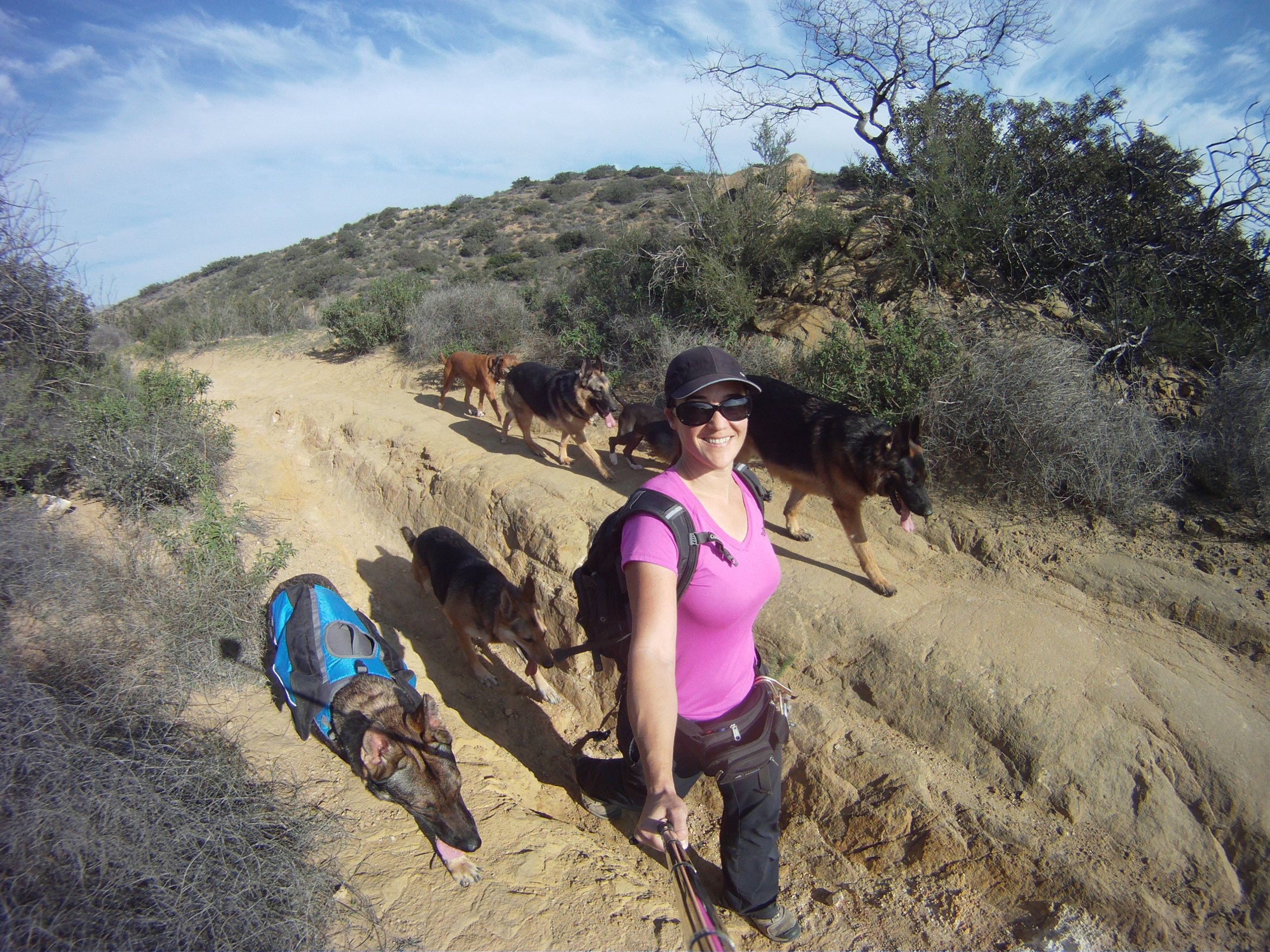 Laura hiking with a group of dogs