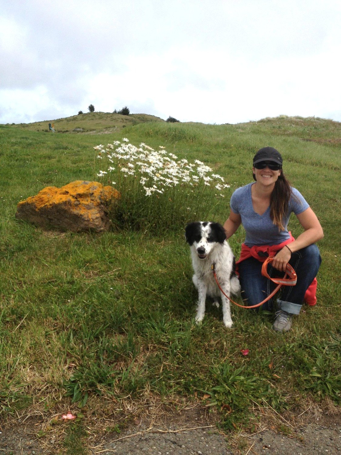 Laura Rice, owner of Pet Peeves Training, with a border collie on a California poppy hillside