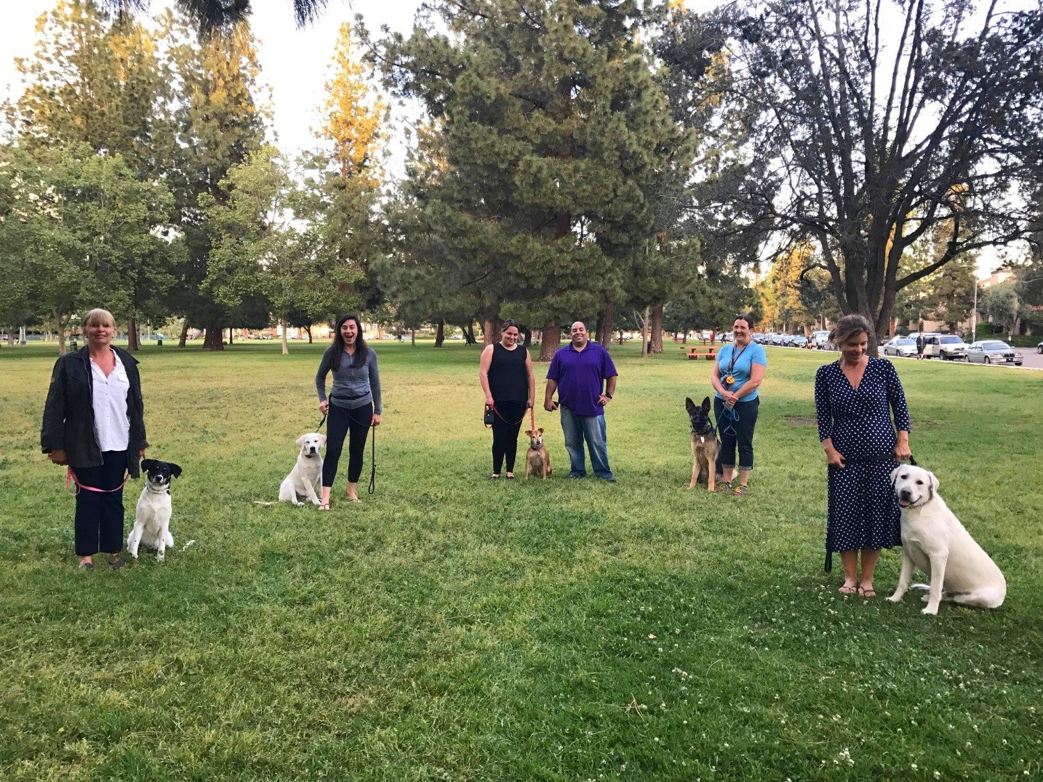 Reactive dog group class in a park
